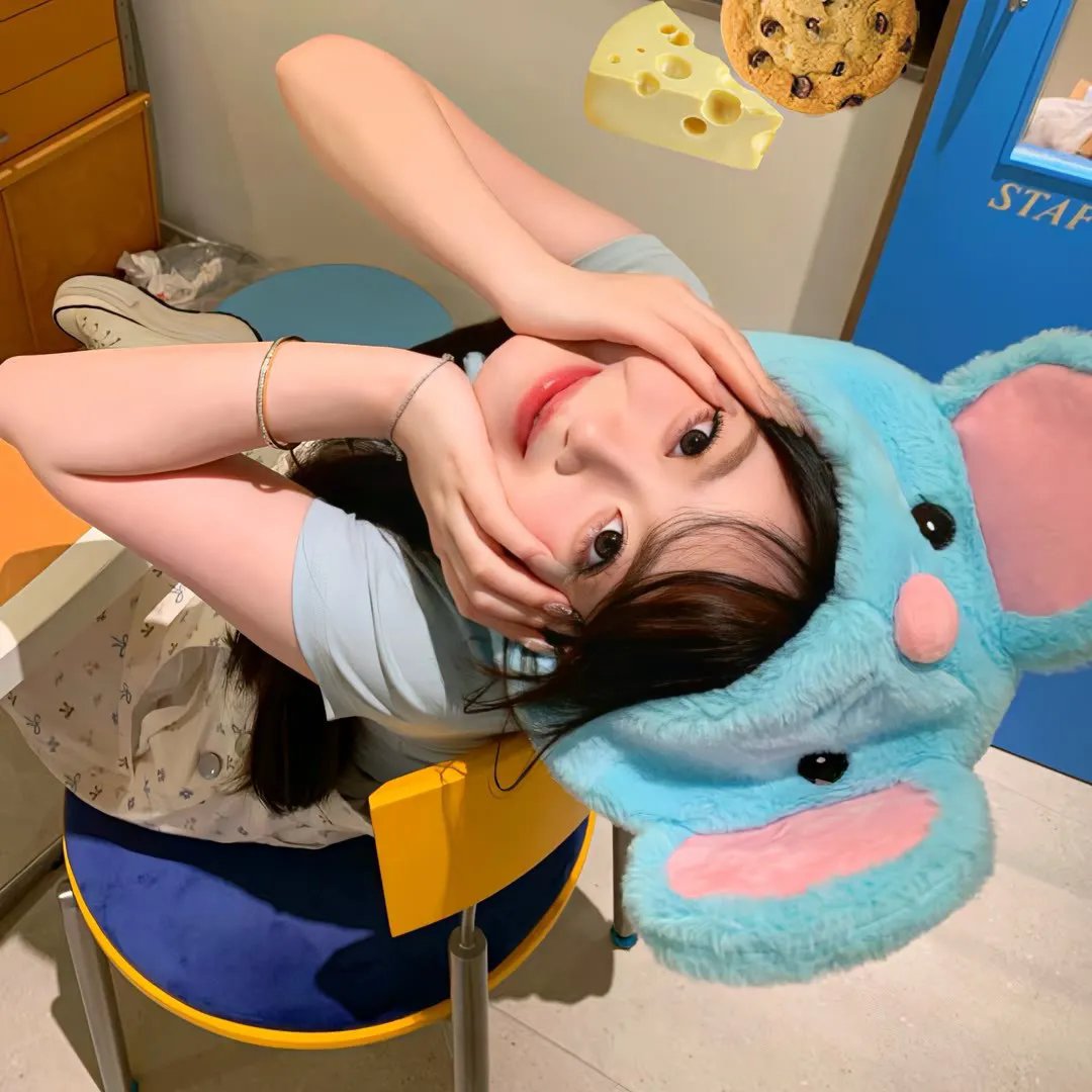 房子的故事