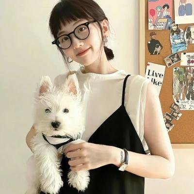 傀儡生涯